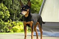 DSCN0395