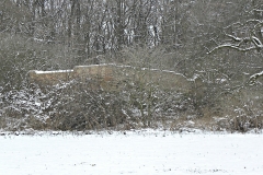 DSCN1133