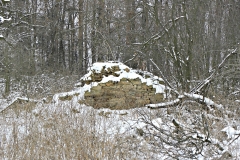 DSCN1134