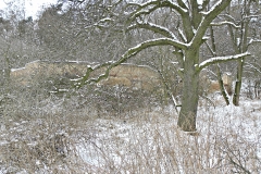 DSCN1135