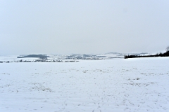 DSCN1139