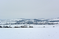 DSCN1181
