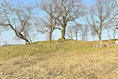 DSCN3907