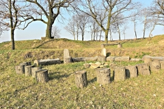 DSCN3912