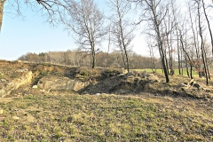 DSCN3929