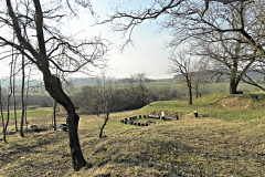 DSCN3931