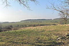 DSCN3933
