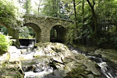 DSCN4362