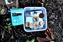 Geocaching - výpravy za keškami 8