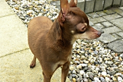 1_DSCN2238