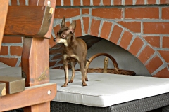 1_DSCN2249