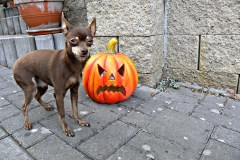 DSCN1213