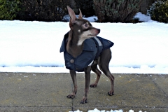 DSCN1377