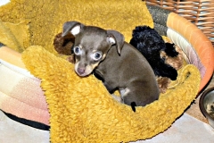 DSCN3652