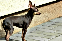 DSCN5599