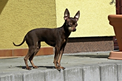 DSCN9294